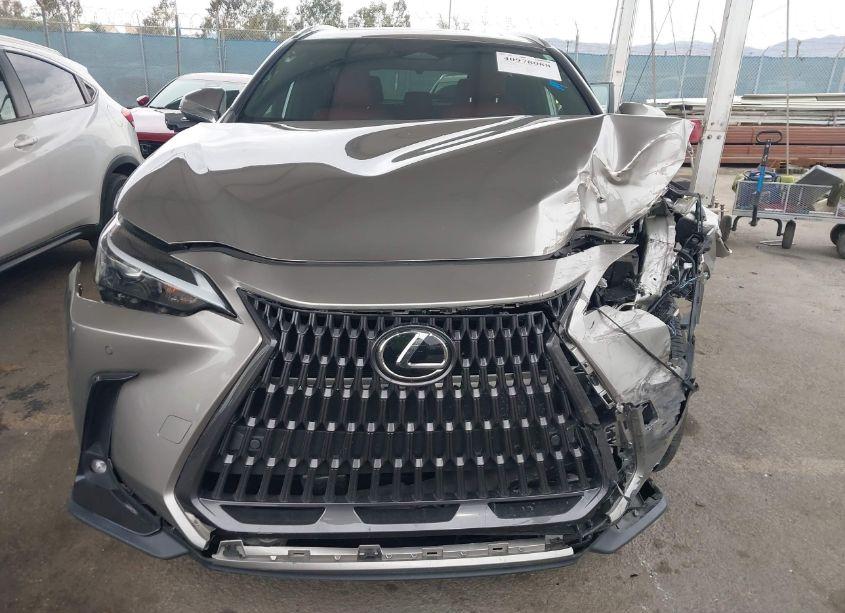 Photo 11 of 2023 Lexus Nx 350 PREMIUM (VIN 2T2GGCEZ2PC026906)