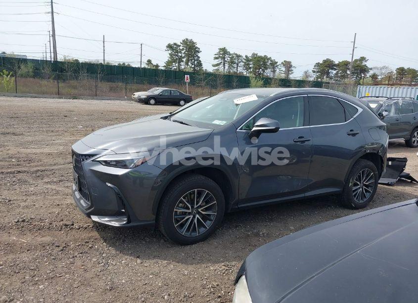 Photo 14 of 2023 Lexus Nx 350 PREMIUM (VIN 2T2GGCEZ8PC024142)