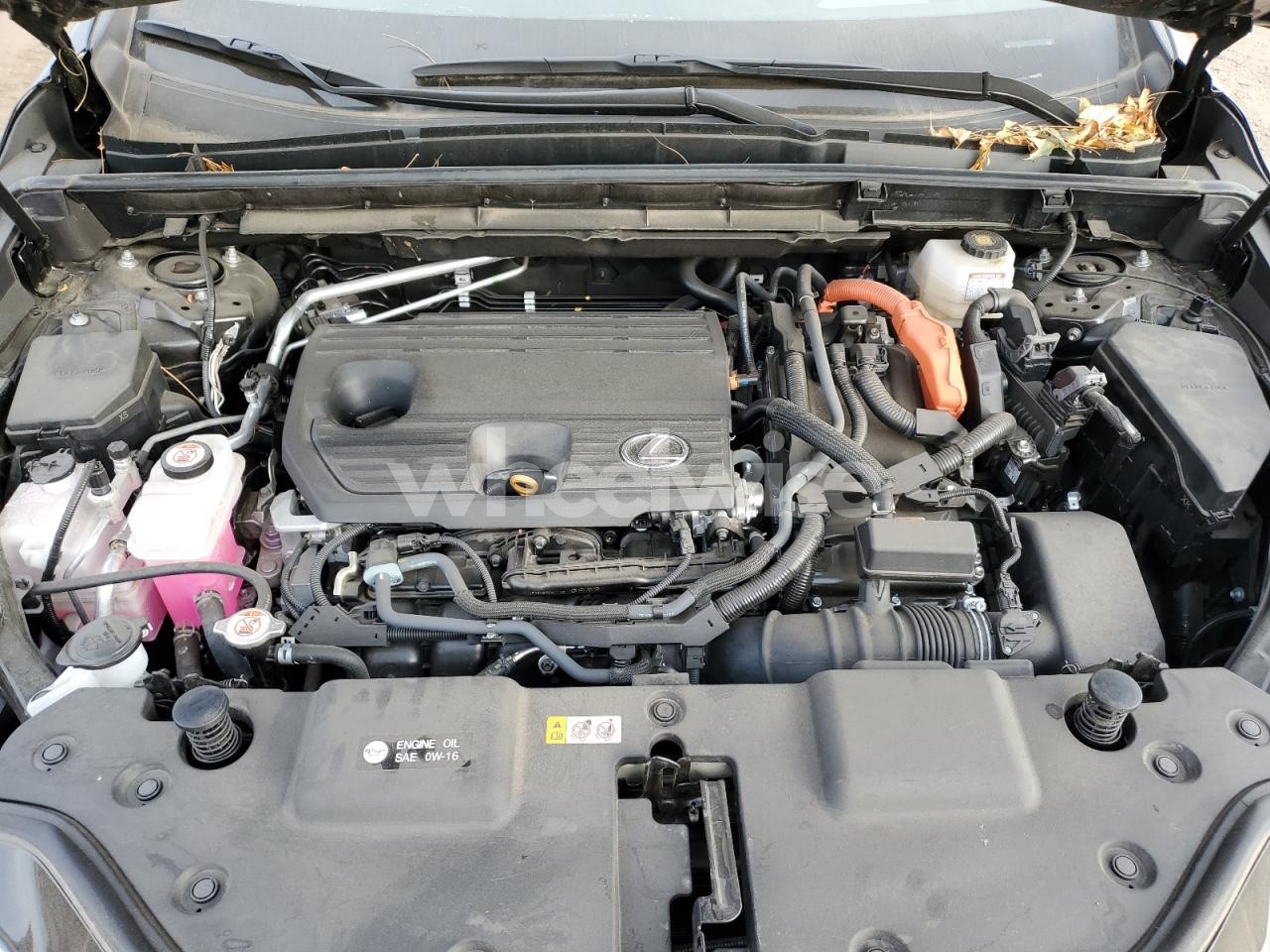 Photo 12 of 2024 LEXUS NX 350H BASE (VIN 2T2GKCEZ2RC019097)