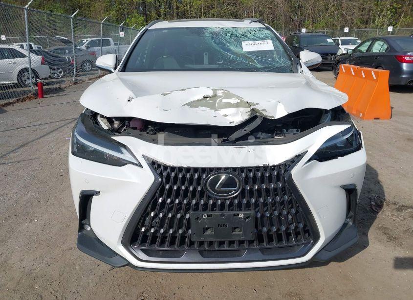 Photo 12 of 2022 Lexus Nx 350H PREMIUM (VIN 2T2GKCEZ6NC002264)