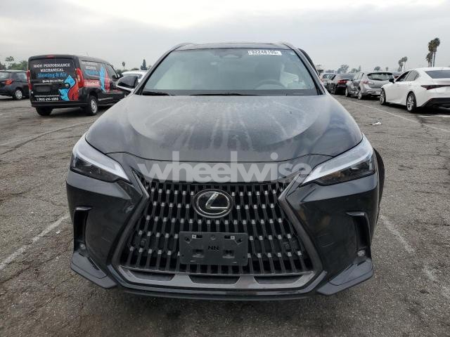 Photo 11 of 2025 LEXUS NX 350H BASE N/A (VIN 2T2GKCEZ7SC044146)