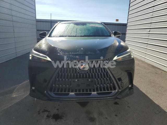 2025 LEXUS NX 350H BASE N/A (VIN 2T2GKCEZ7SC052893) main photo