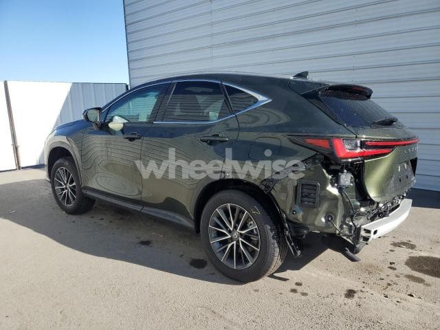 Photo 9 of 2025 LEXUS NX 350H BASE N/A (VIN 2T2GKCEZ7SC052893)