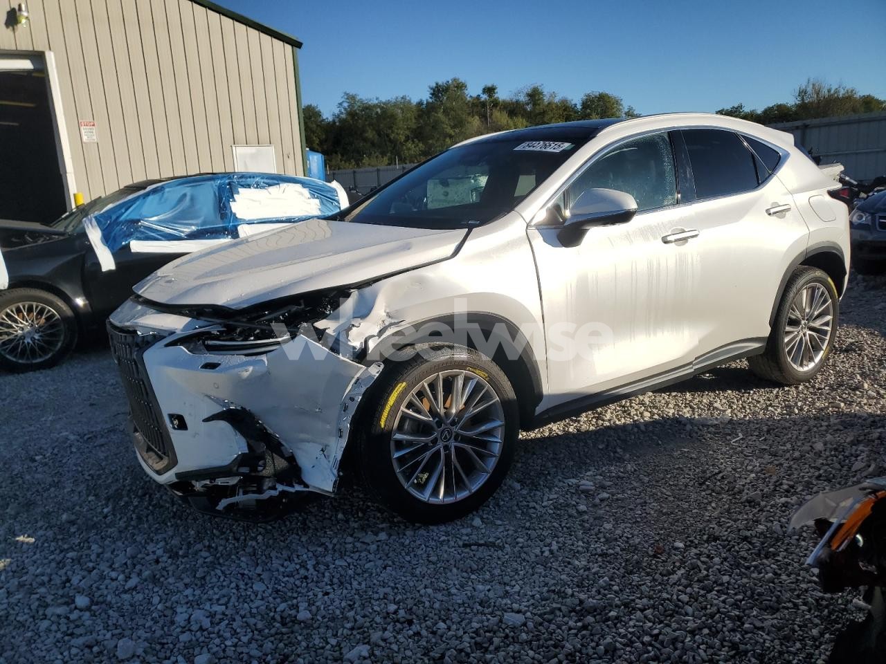2024 LEXUS NX 350 LUXURY (VIN 2T2HGCEZ4RC057422) main photo