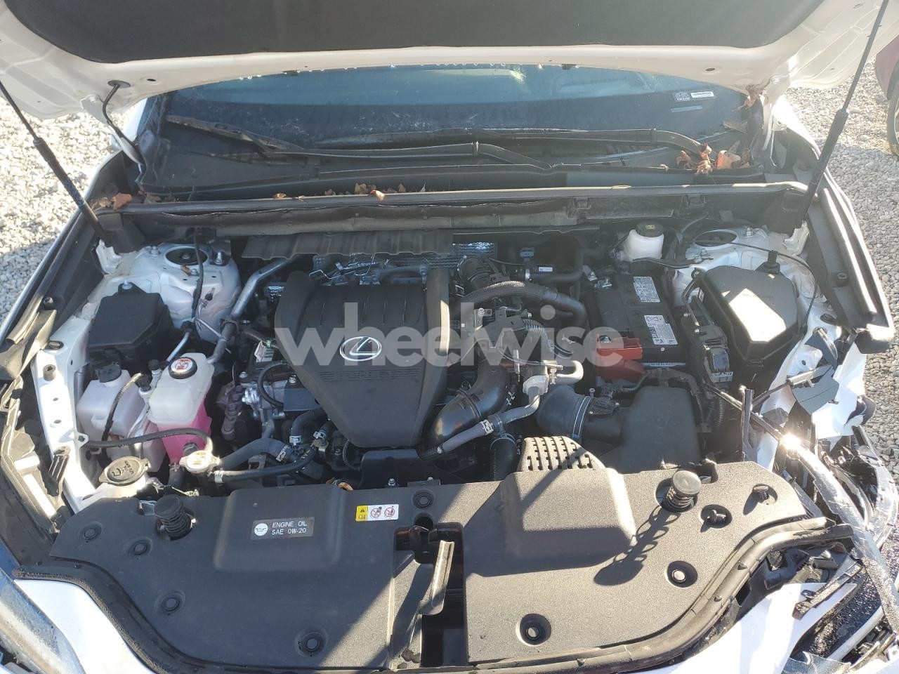 Photo 12 of 2024 LEXUS NX 350 LUXURY (VIN 2T2HGCEZ4RC057422)