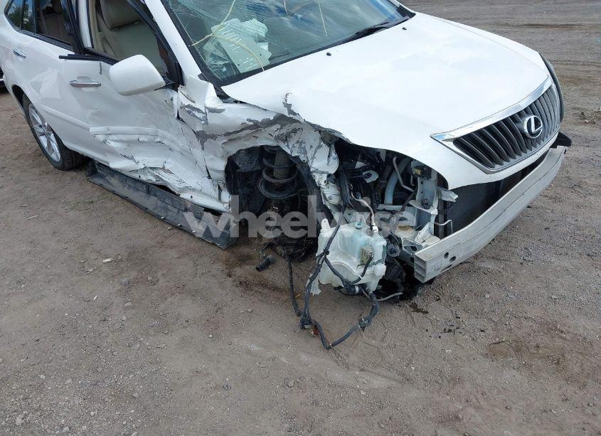 Photo 6 of 2008 Lexus Rx 350 (VIN 2T2HK31U08C093681)