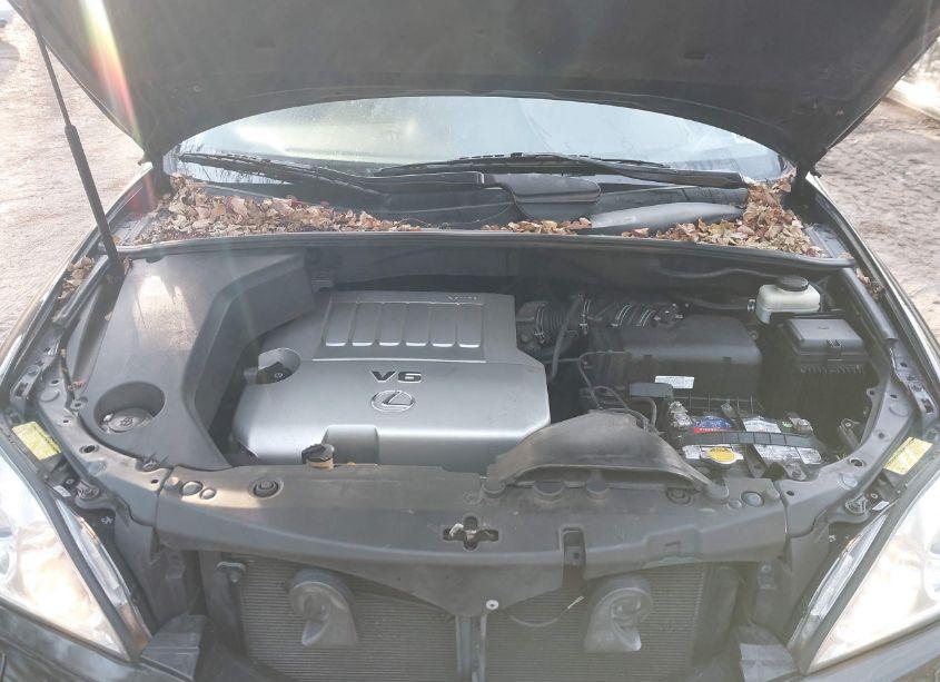 Photo 10 of 2009 Lexus Rx 350 (VIN 2T2HK31U09C127104)