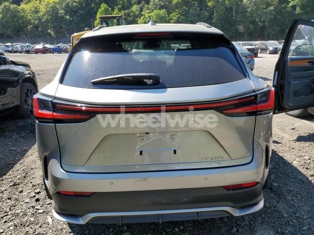 Photo 9 of 2025 LEXUS NX 350 LUXURY N/A (VIN 2T2KGCEZ1SC061908)