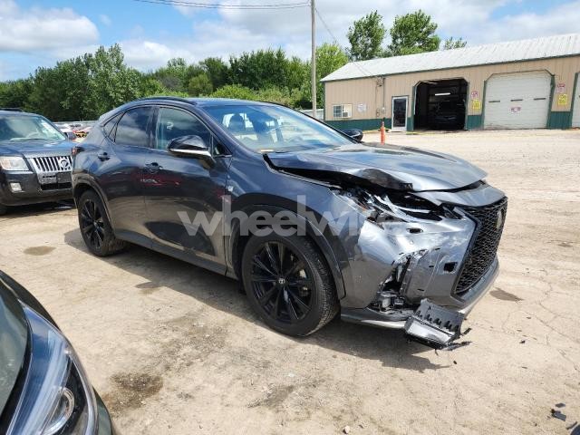 2025 LEXUS NX 350 LUXURY N/A (VIN 2T2KGCEZ2SC068110) main photo