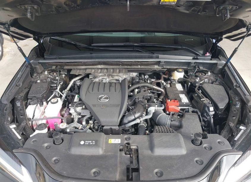 Photo 10 of 2024 Lexus Nx 350 F SPORT HANDLING (VIN 2T2KGCEZ3RC051522)