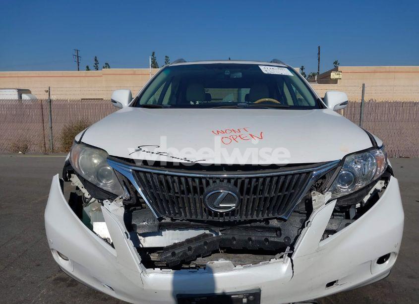 Photo 6 of 2010 Lexus Rx 350 (VIN 2T2ZK1BA4AC020414)