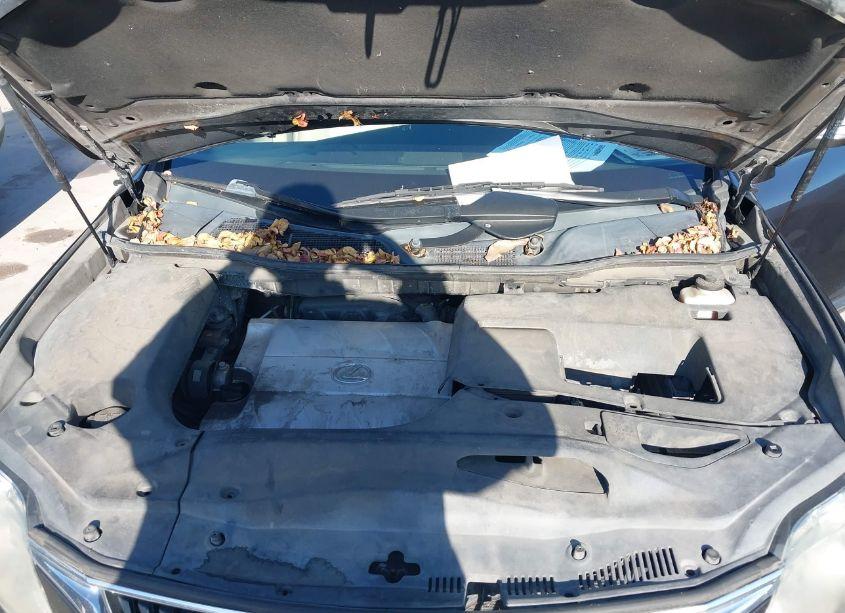 Photo 10 of 2010 Lexus Rx 350 (VIN 2T2ZK1BA8AC039791)