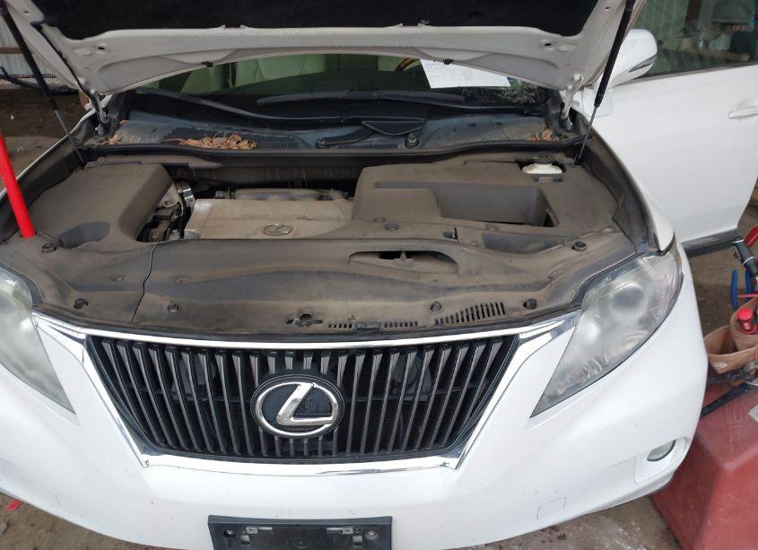 Photo 10 of 2010 Lexus Rx 350 (VIN 2T2ZK1BA9AC011630)