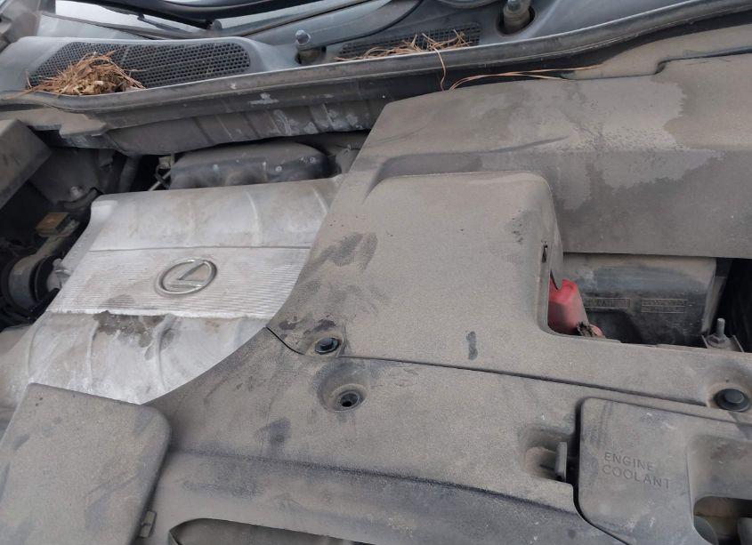 Photo 10 of 2010 Lexus Rx 350 (VIN 2T2ZK1BA9AC023518)