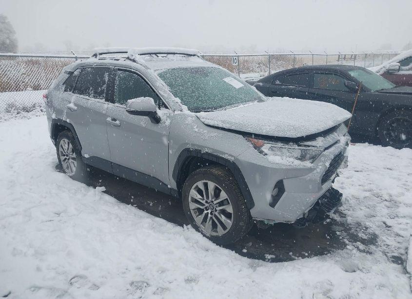 2019 Toyota Rav4 XLE PREMIUM (VIN 2T3A1RFV1KW038490) main photo