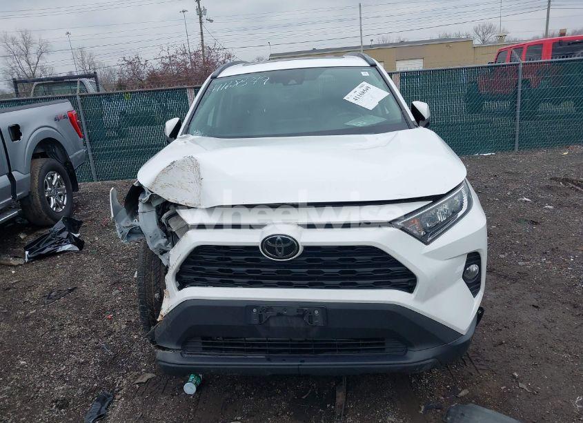 Photo 12 of 2019 Toyota Rav4 XLE PREMIUM (VIN 2T3A1RFV3KW011694)