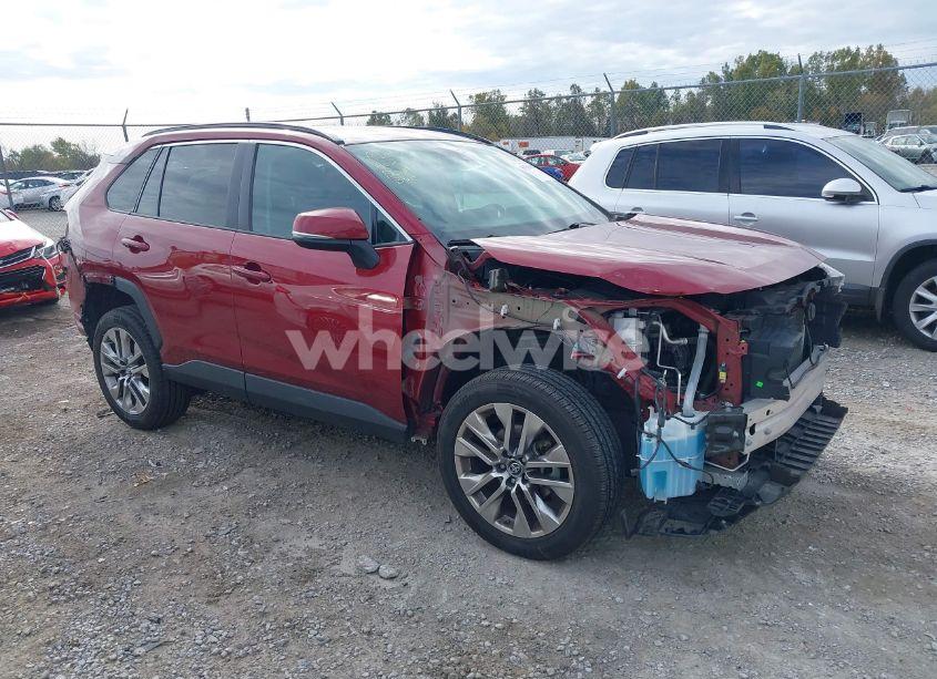2019 Toyota Rav4 XLE PREMIUM (VIN 2T3A1RFV3KW048552) main photo