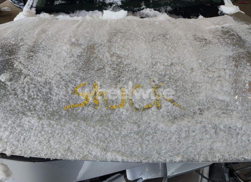 Photo 10 of 2019 Toyota Rav4 XLE PREMIUM (VIN 2T3A1RFV3KW064119)