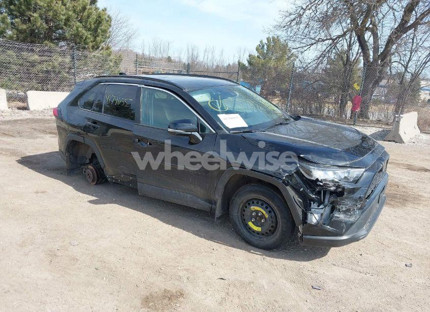 2021 Toyota Rav4 XLE PREMIUM (VIN 2T3A1RFV4MC162984) main photo