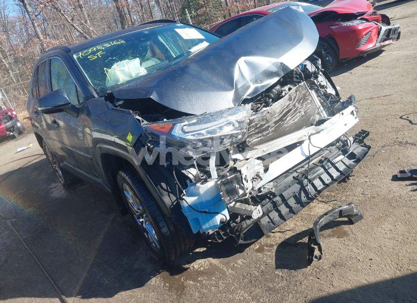 2019 Toyota Rav4 XLE PREMIUM (VIN 2T3A1RFV6KC051950) main photo