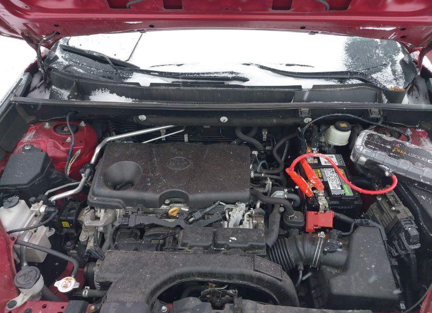 Photo 10 of 2019 Toyota Rav4 XLE PREMIUM (VIN 2T3A1RFV7KW002464)