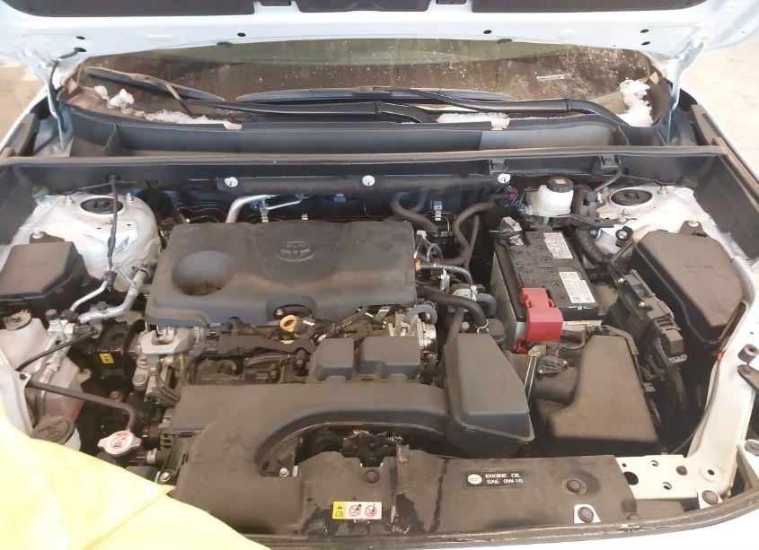 Photo 10 of 2023 Toyota Rav4 XLE PREMIUM (VIN 2T3A1RFV7PW390271)