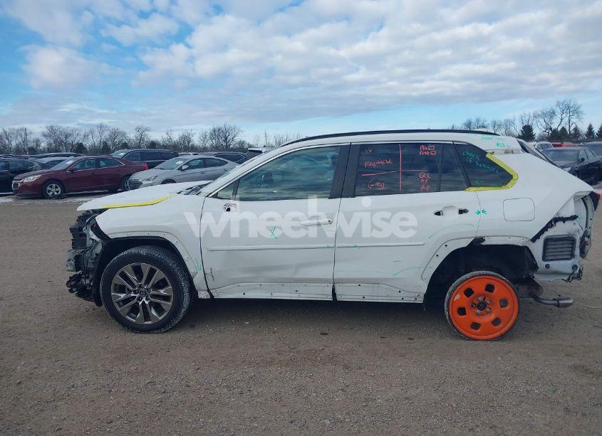 Photo 15 of 2019 Toyota Rav4 XLE PREMIUM (VIN 2T3A1RFV9KW045185)