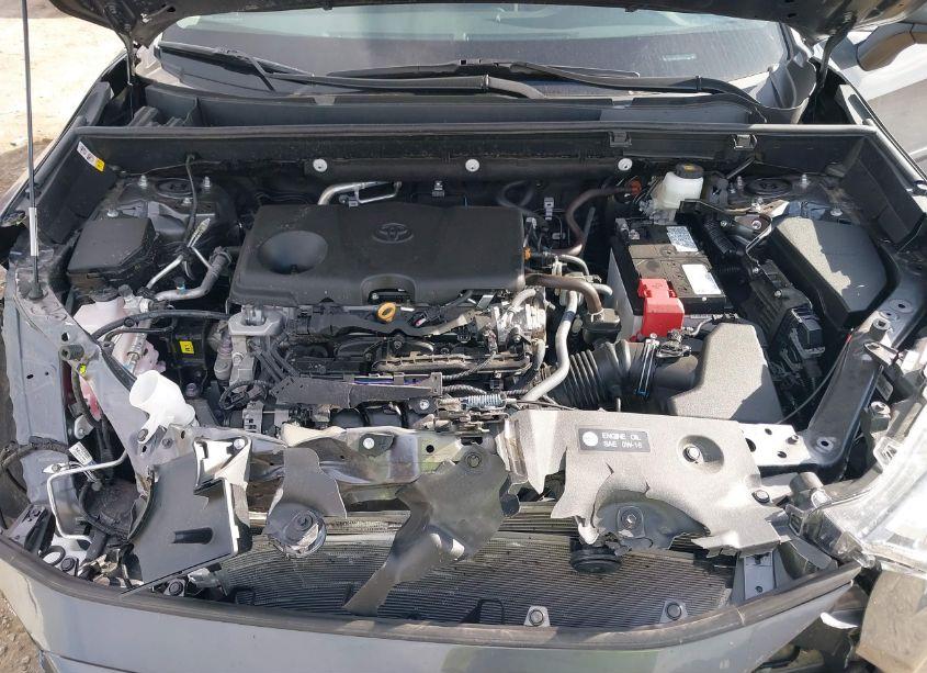 Photo 10 of 2024 Toyota Rav4 XLE PREMIUM (VIN 2T3A1RFVXRC427494)