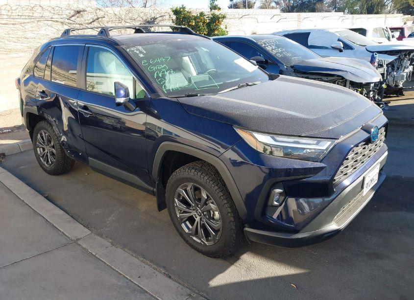 2024 Toyota Rav4 XLE PREMIUM (VIN 2T3B6RFV3RW055145) main photo