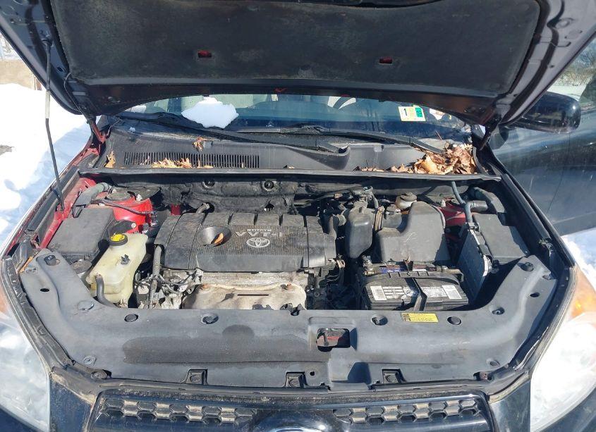 Photo 10 of 2010 Toyota Rav4 (VIN 2T3BF4DV0AW072771)