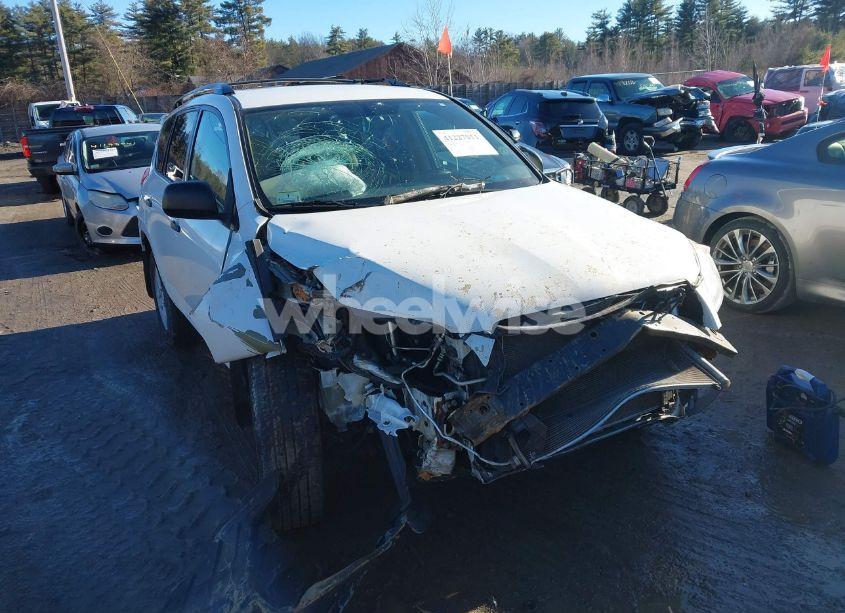 2012 Toyota Rav4 (VIN 2T3BF4DV0CW262038) main photo