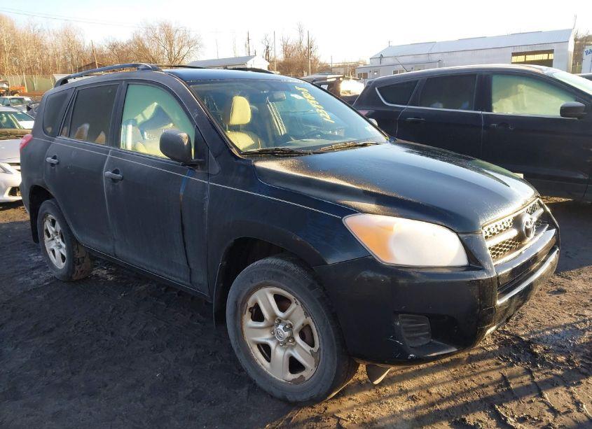 2011 Toyota Rav4 (VIN 2T3BF4DV1BW162822) main photo