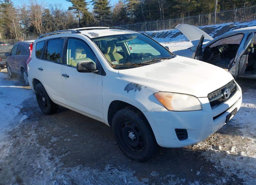 2010 Toyota Rav4 (VIN 2T3BF4DV4AW080503) main photo