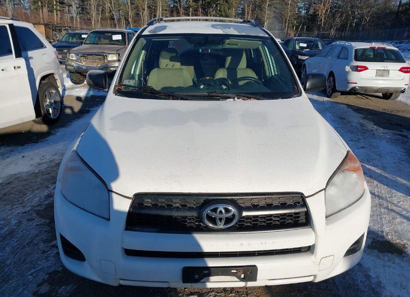 Photo 12 of 2010 Toyota Rav4 (VIN 2T3BF4DV4AW080503)