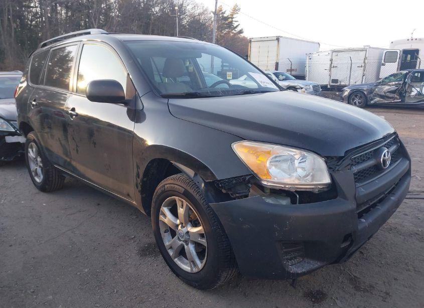 2011 Toyota Rav4 (VIN 2T3BF4DV4BW124503) main photo