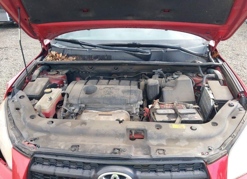 Photo 10 of 2011 Toyota Rav4 (VIN 2T3BF4DV5BW167702)