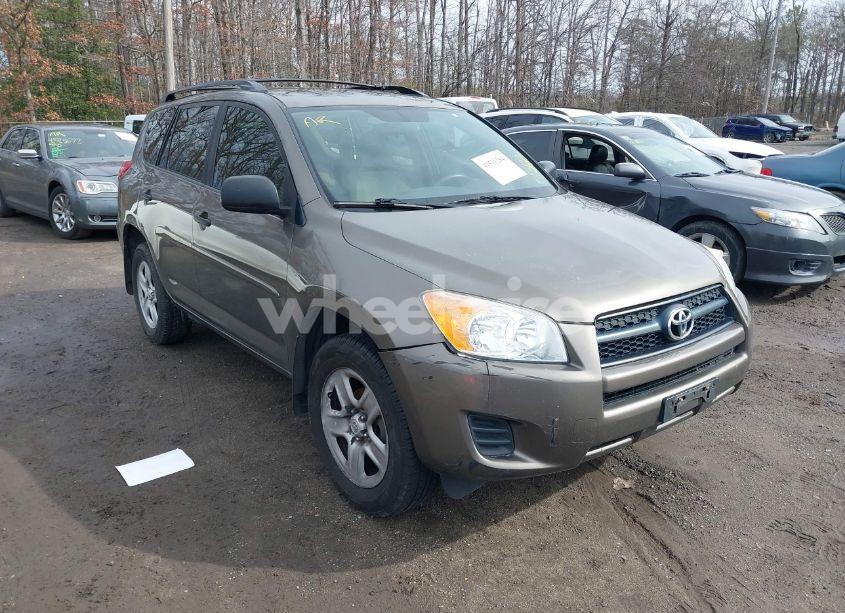 2012 Toyota Rav4 (VIN 2T3BF4DV6CW198443) main photo