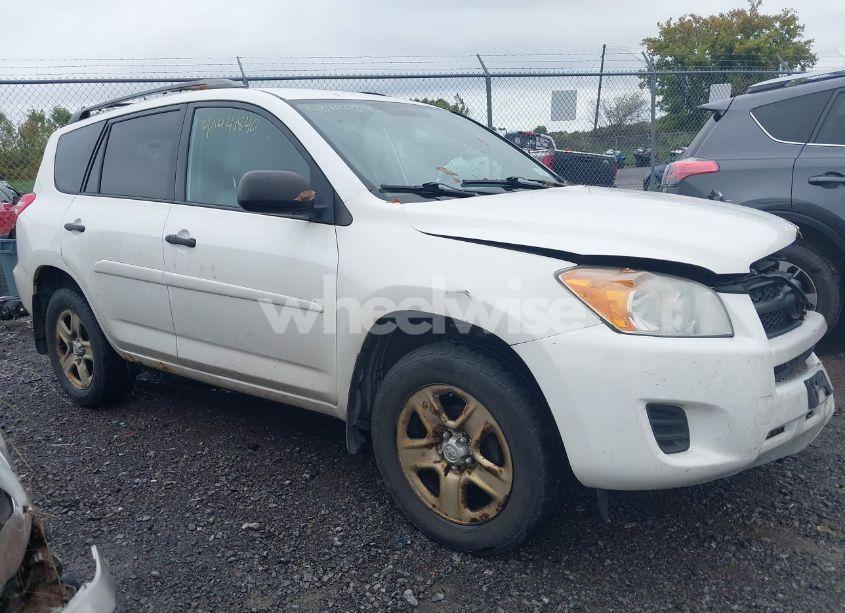 2011 Toyota Rav4 (VIN 2T3BF4DV9BW129034) main photo