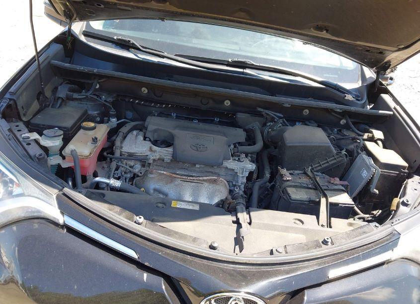Photo 10 of 2016 Toyota Rav4 LE (VIN 2T3BFREV0GW488954)