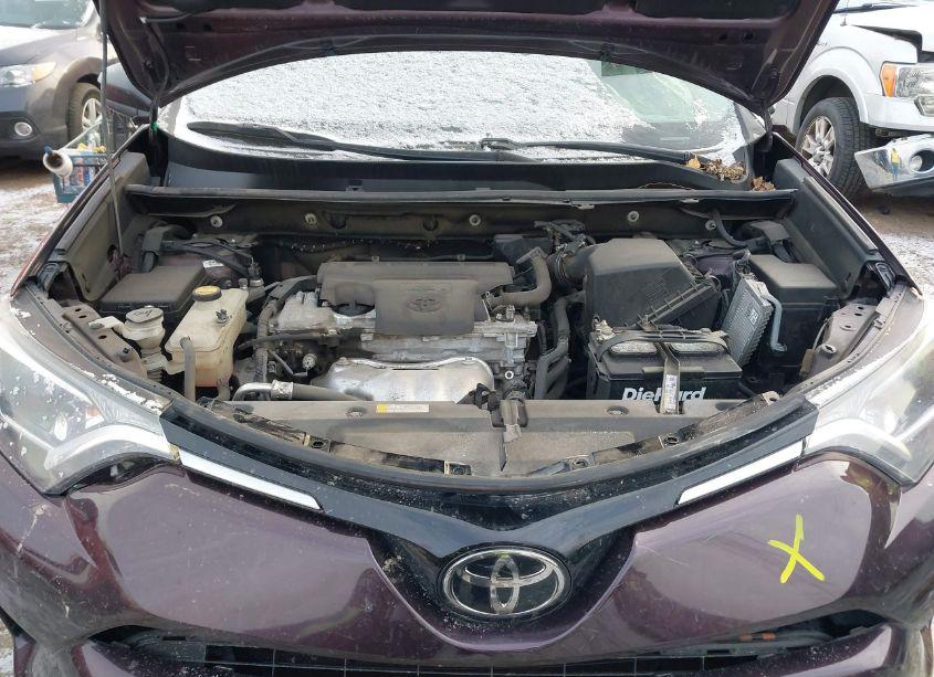 Photo 10 of 2017 Toyota Rav4 LE (VIN 2T3BFREV1HW557930)
