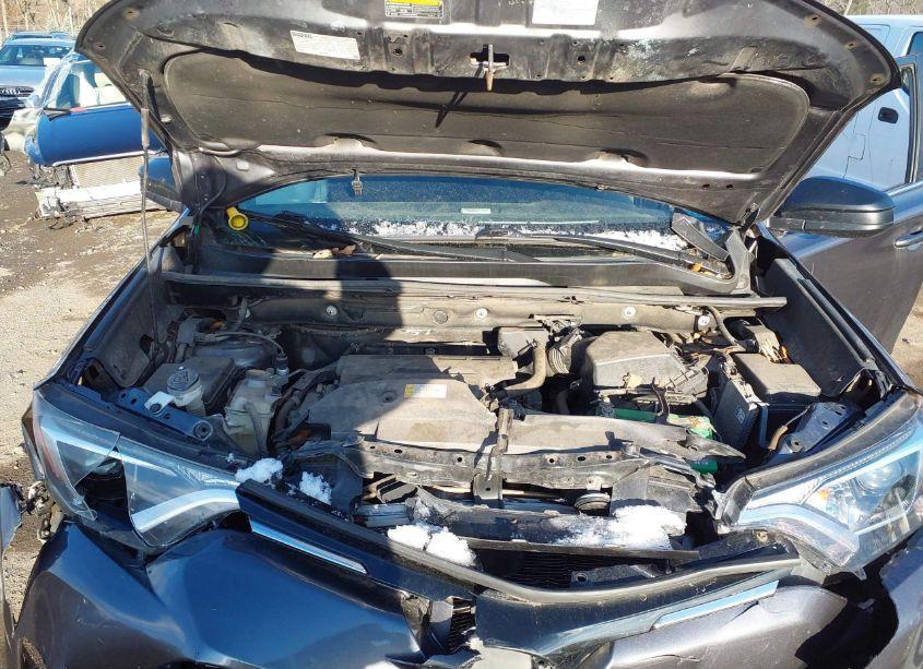 Photo 10 of 2017 Toyota Rav4 LE (VIN 2T3BFREV2HW551523)