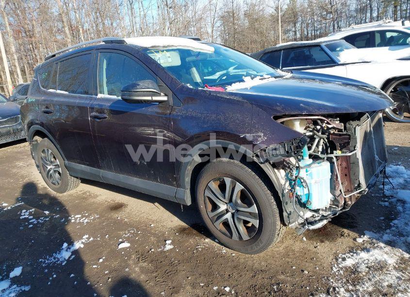 2016 Toyota Rav4 LE (VIN 2T3BFREV5GW516232) main photo