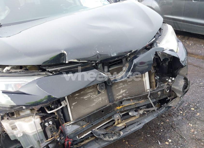 Photo 18 of 2016 Toyota Rav4 LE (VIN 2T3BFREV6GW418102)