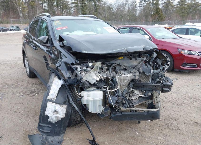 Photo 12 of 2015 Toyota Rav4 LE (VIN 2T3BFREV7FW364369)