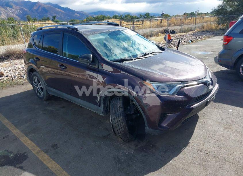 2016 Toyota Rav4 LE (VIN 2T3BFREV7GW428654) main photo