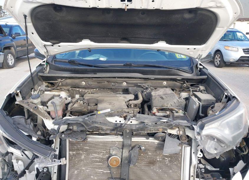 Photo 10 of 2016 Toyota Rav4 LE (VIN 2T3BFREV9GW462580)