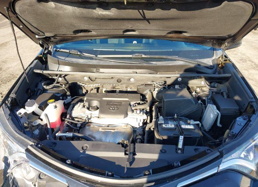 Photo 10 of 2016 Toyota Rav4 LE (VIN 2T3BFREVXGW438840)