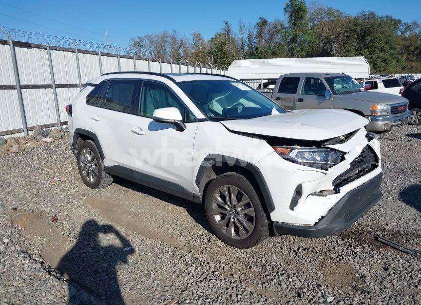 2019 Toyota Rav4 XLE PREMIUM (VIN 2T3C1RFV1KW016904) main photo