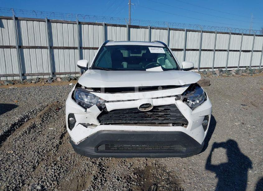 Photo 12 of 2019 Toyota Rav4 XLE PREMIUM (VIN 2T3C1RFV1KW016904)