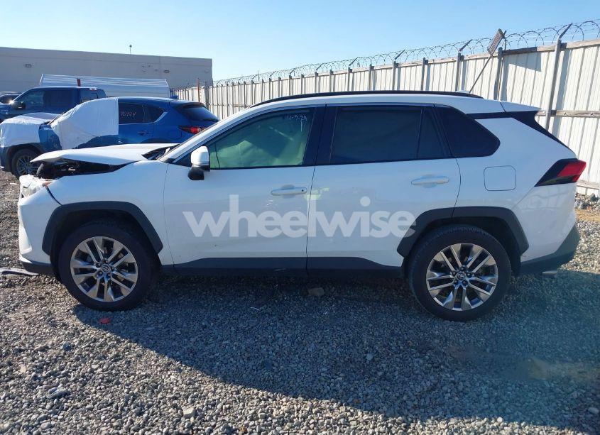 Photo 14 of 2019 Toyota Rav4 XLE PREMIUM (VIN 2T3C1RFV1KW016904)